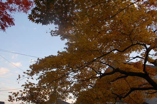 b0203588_14484316.jpg