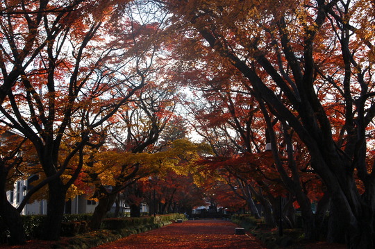 b0203588_14491565.jpg