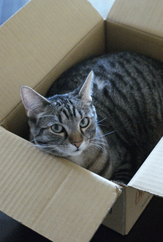 c0193788_19134226.gif