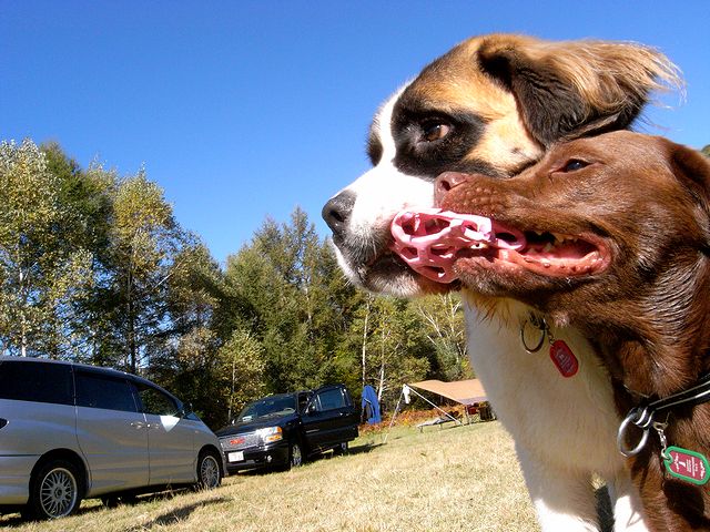 a0093592_22523229.jpg