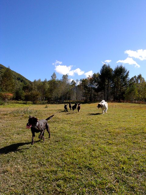 a0093592_23132436.jpg