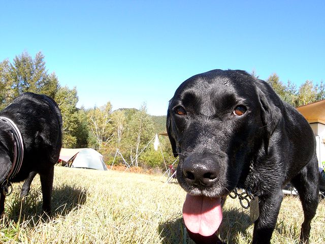 a0093592_23181655.jpg
