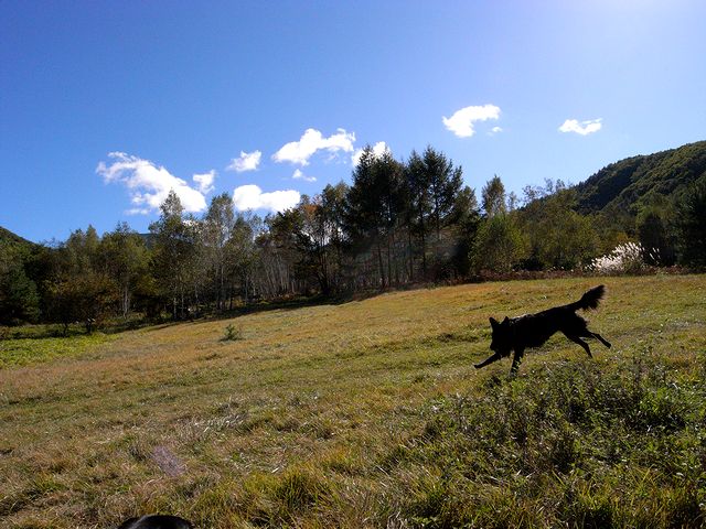 a0093592_2320119.jpg