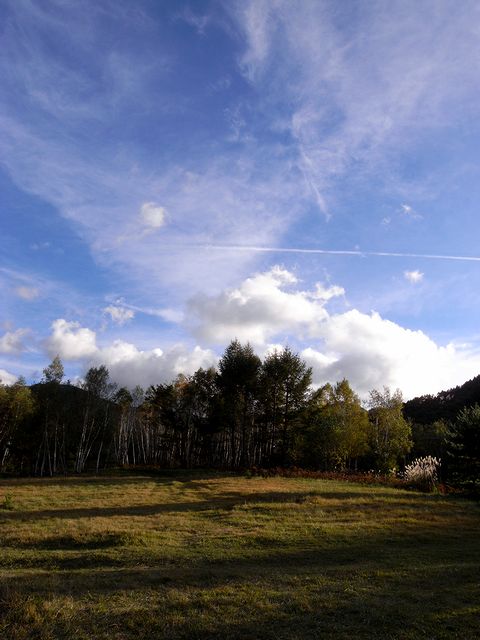 a0093592_23474446.jpg