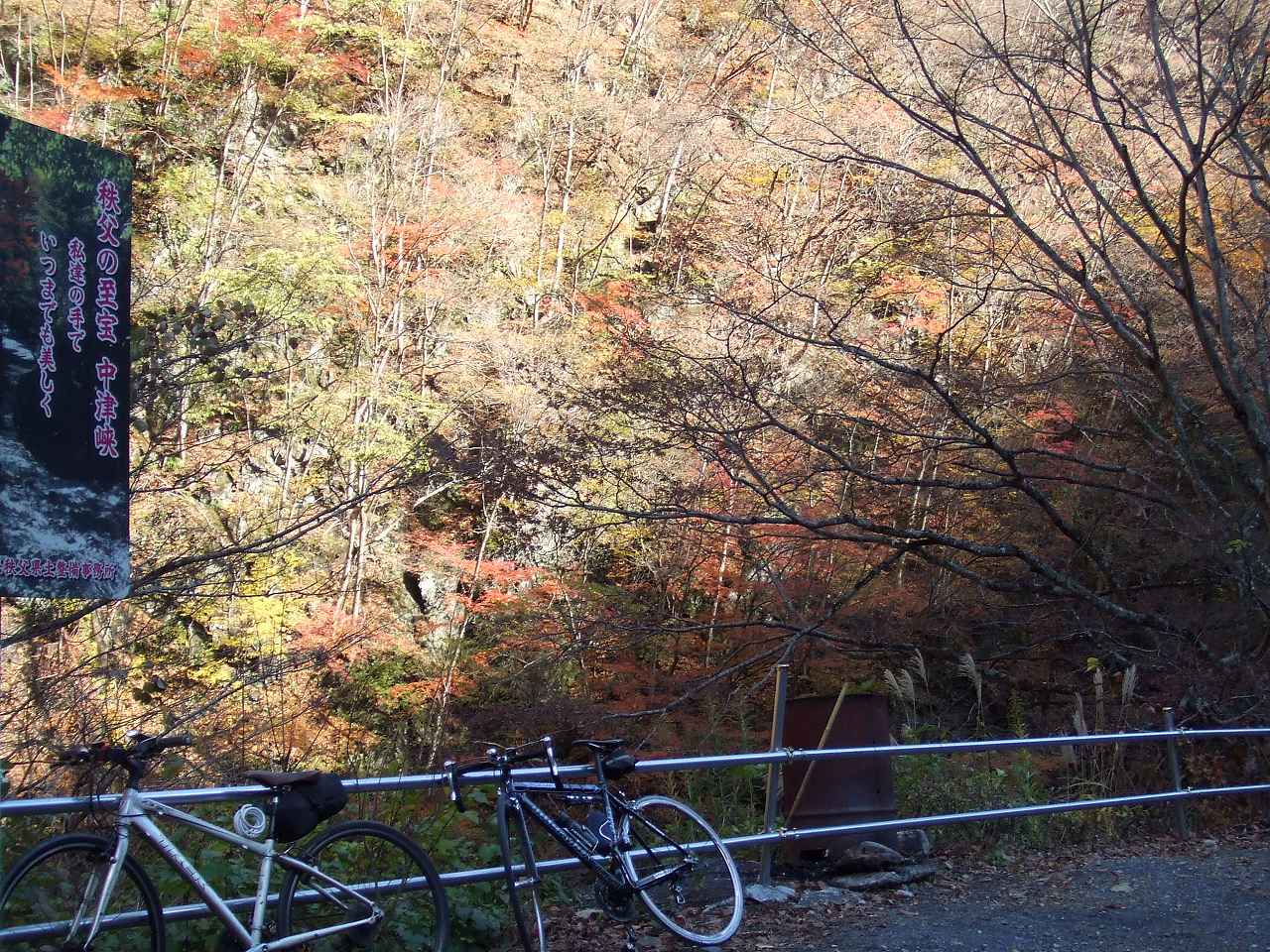 b0074992_13434249.jpg
