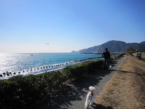 b0104592_15382271.jpg