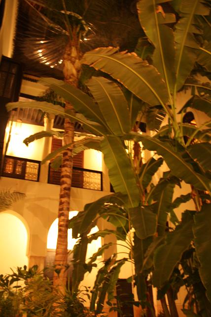 f0044892_251583.jpg