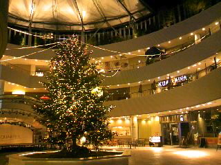 a0103293_0294941.jpg