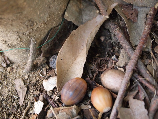 b0194593_179449.jpg