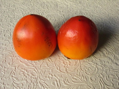 a0127398_2233528.jpg