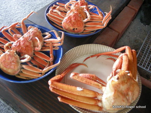 c0145299_23421470.jpg