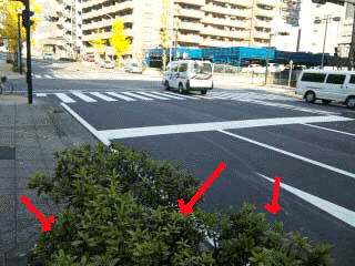 e0103408_1284872.gif