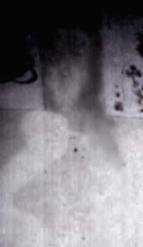 e0103408_1729396.jpg