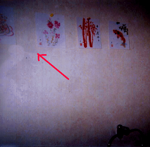 e0103408_1741468.gif