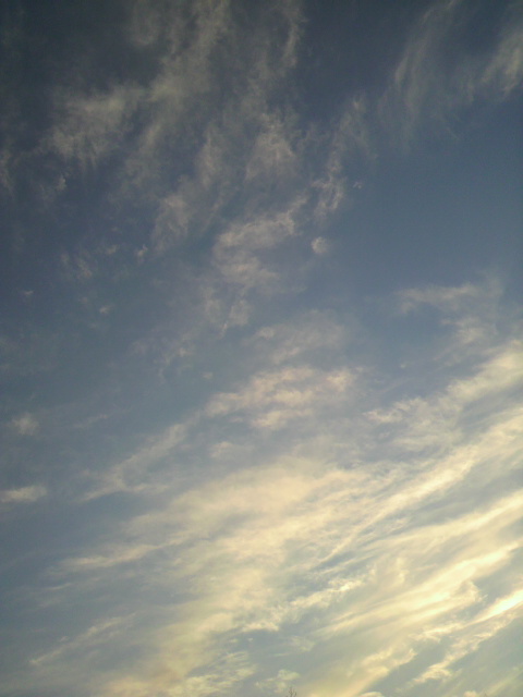 f0024708_2513739.jpg