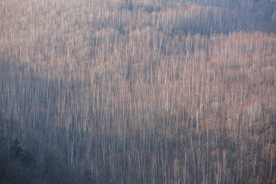 c0073613_0361865.jpg