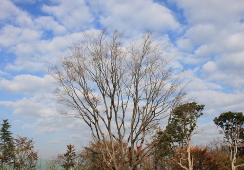 c0101713_20132219.jpg