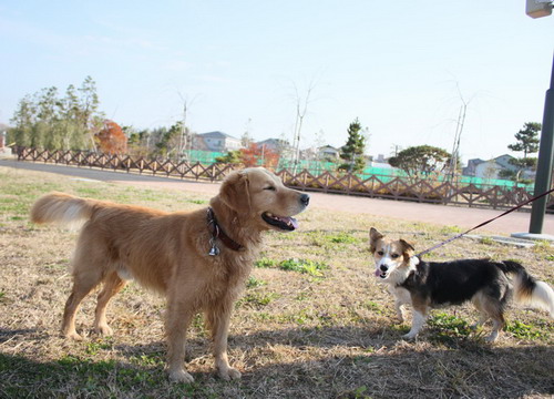 c0101713_21345245.jpg