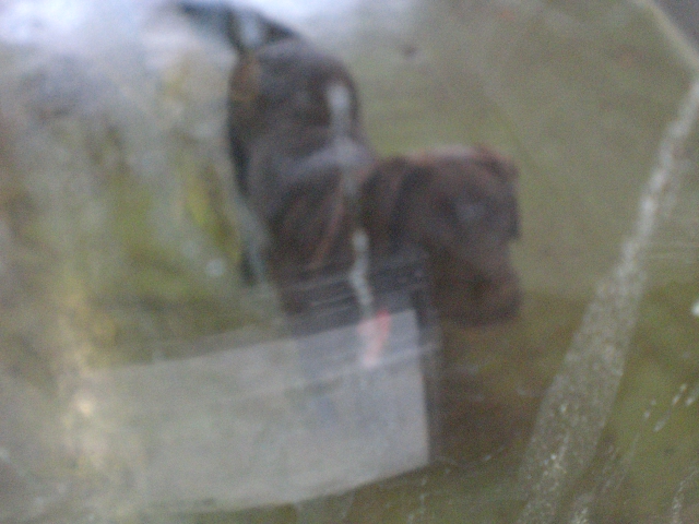 e0209716_23201099.jpg