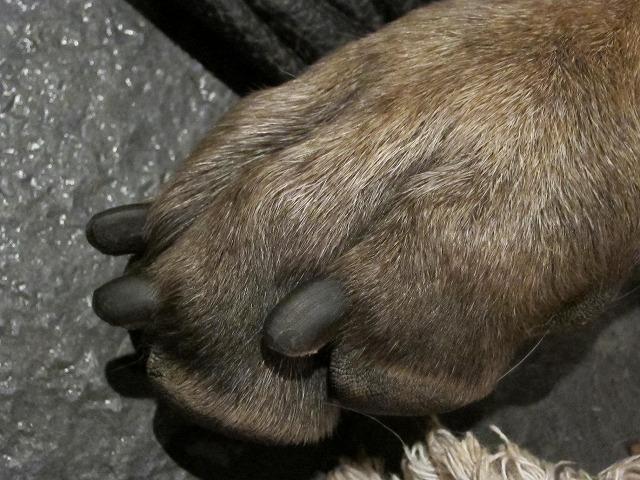 e0192217_7391581.jpg