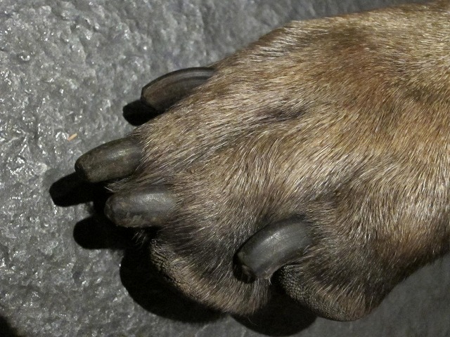 e0192217_739217.jpg