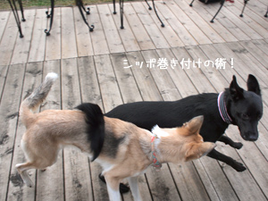 c0012120_23272159.jpg