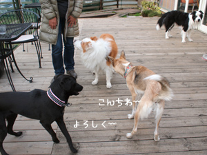 c0012120_232732.jpg