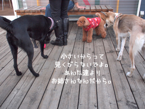 c0012120_23275453.jpg