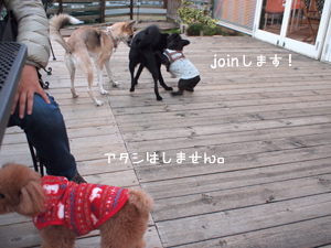 c0012120_2328895.jpg