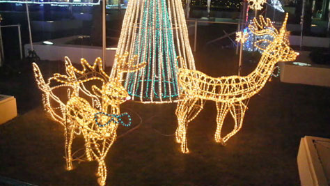 f0137324_20574422.jpg