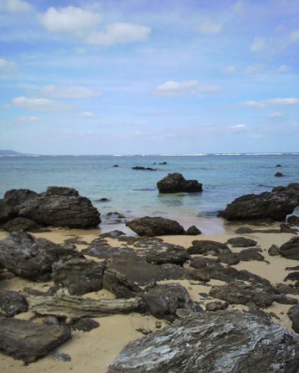 f0177125_121143.jpg
