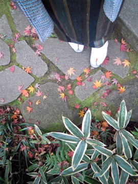 f0229926_18432438.jpg