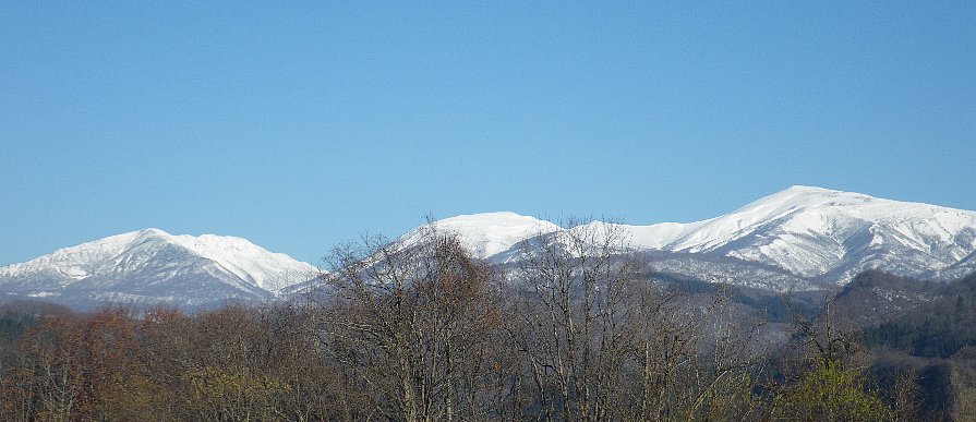 f0118332_21434659.jpg