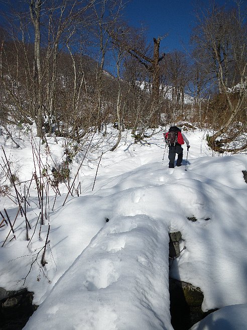 f0118332_21491461.jpg