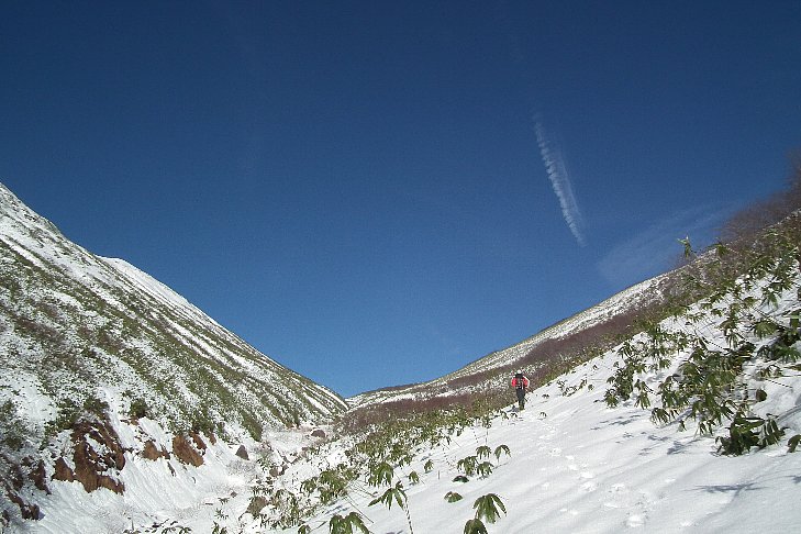 f0118332_2156018.jpg
