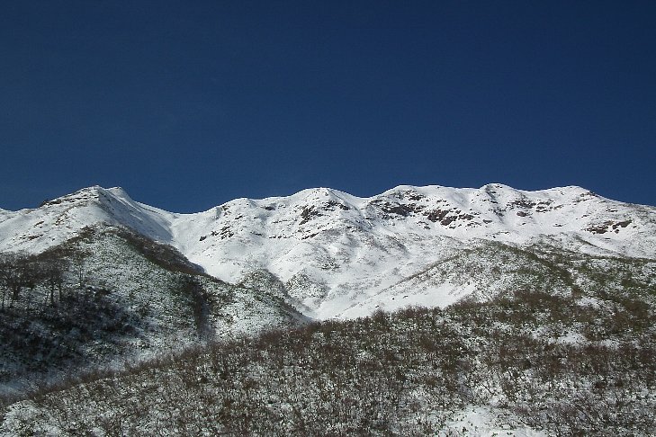 f0118332_21593859.jpg