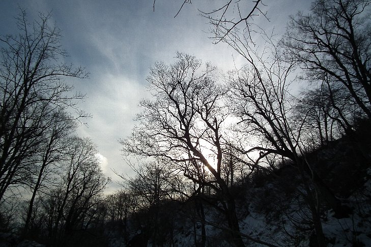 f0118332_2274496.jpg