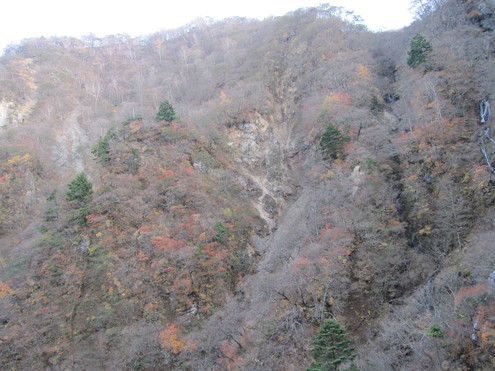 e0154033_113225.jpg