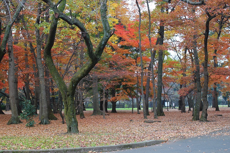 e0052135_22433284.jpg