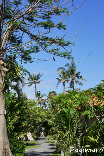a0136036_21394531.jpg