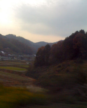 c0069036_21464123.jpg