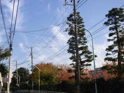 b0019140_14225314.jpg