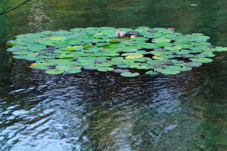 b0190445_2015991.jpg