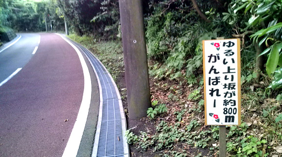 f0076345_23354471.jpg