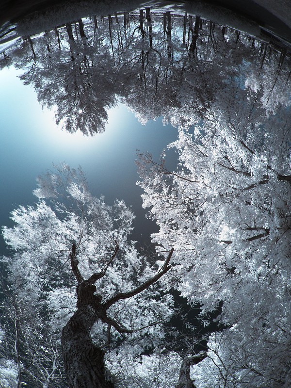 f0002946_21472539.jpg