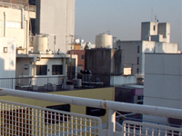 a0163747_14145675.jpg