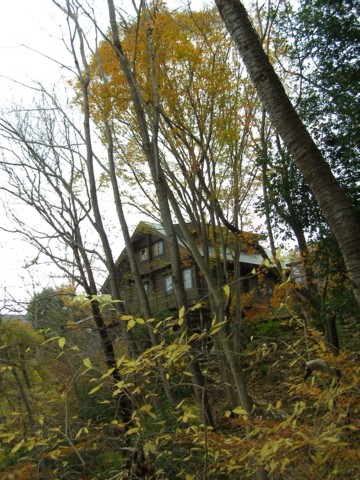 f0043750_2125278.jpg