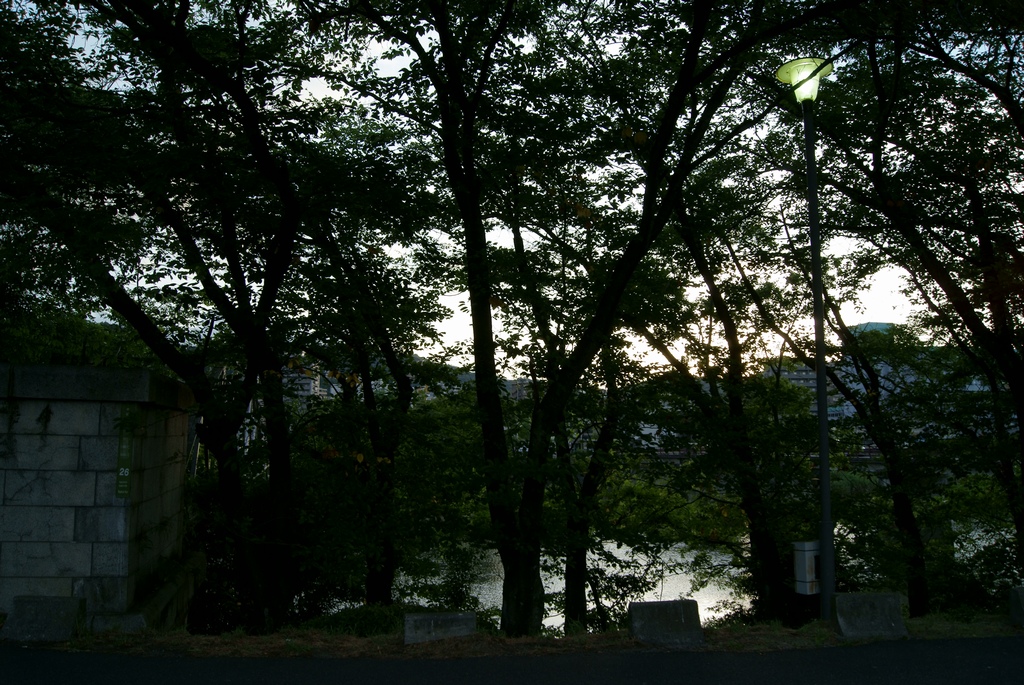e0005253_22371240.jpg