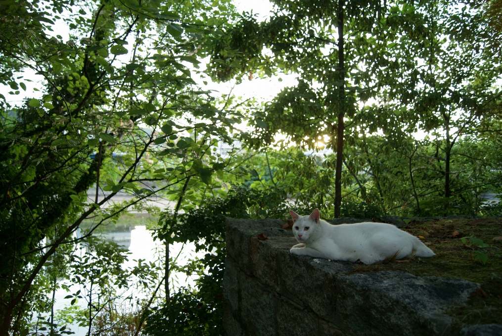 e0005253_22433298.jpg
