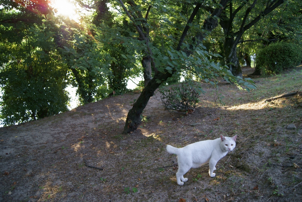 e0005253_22464052.jpg